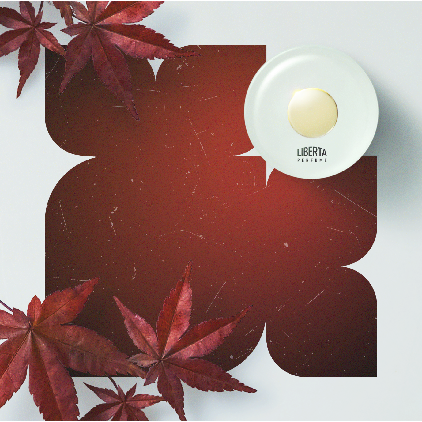 【数量限定】Liberation(リバレイション)ムエットセット