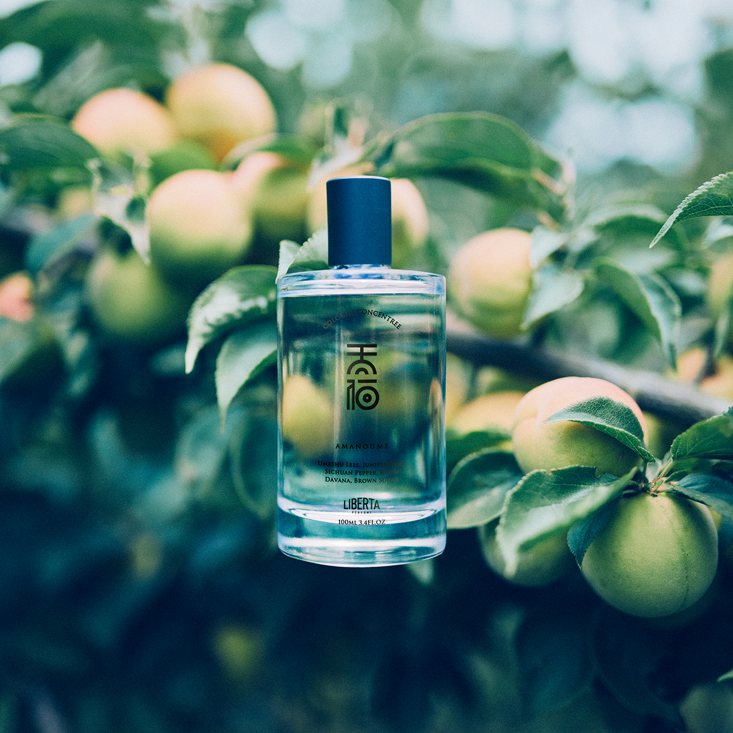 アマノウメ コロンコンサントレ 100ml