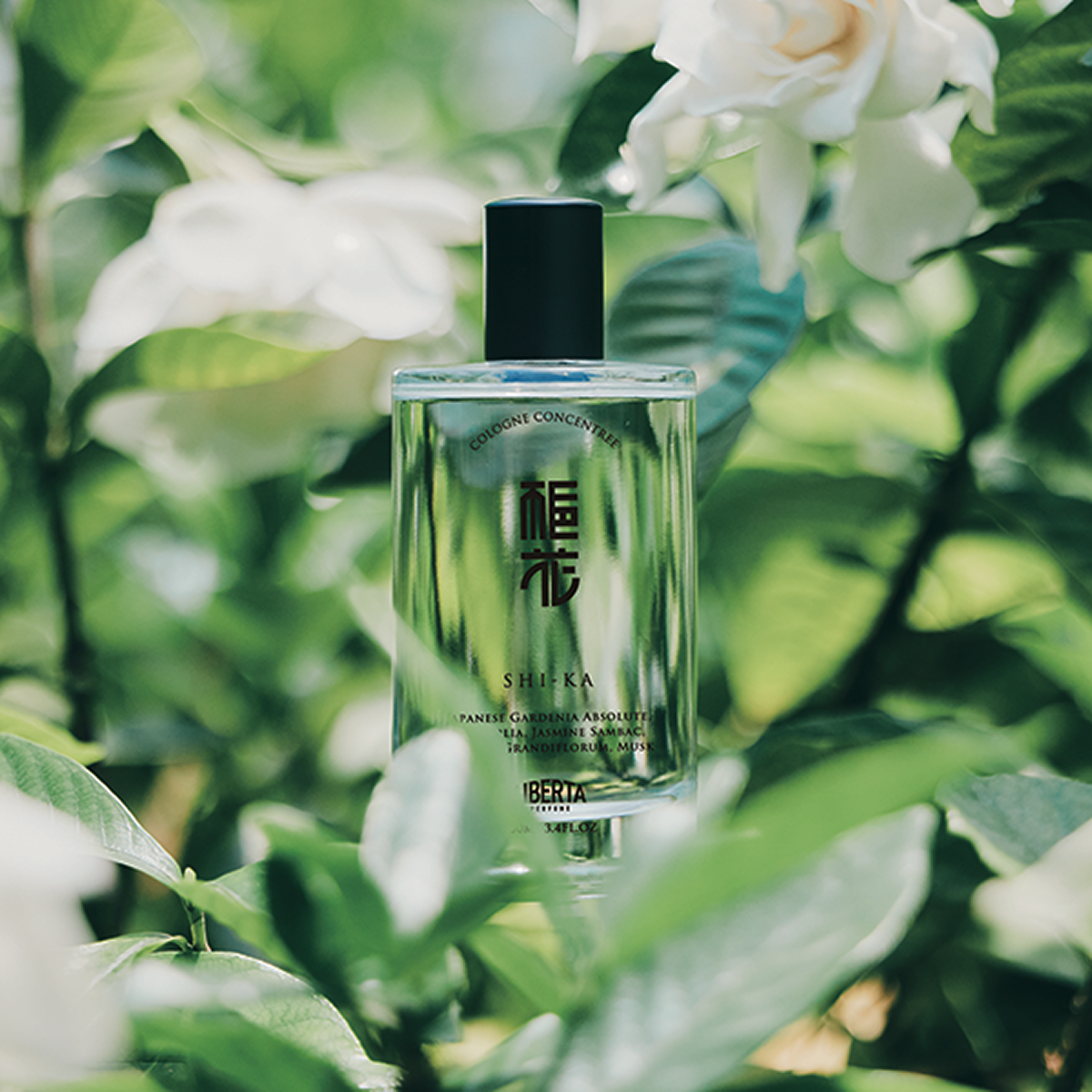 シカ コロンコンサントレ 100ml