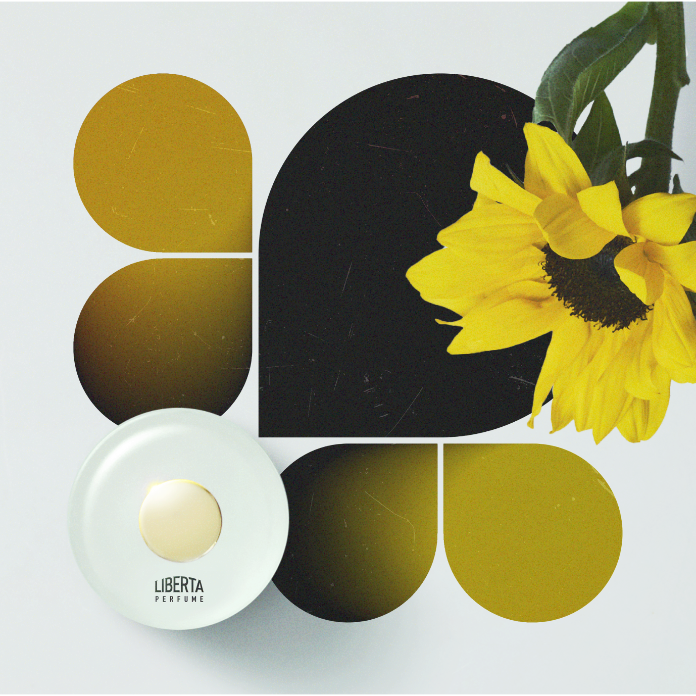 【数量限定】Liberation（リバレイション）ムエットセット