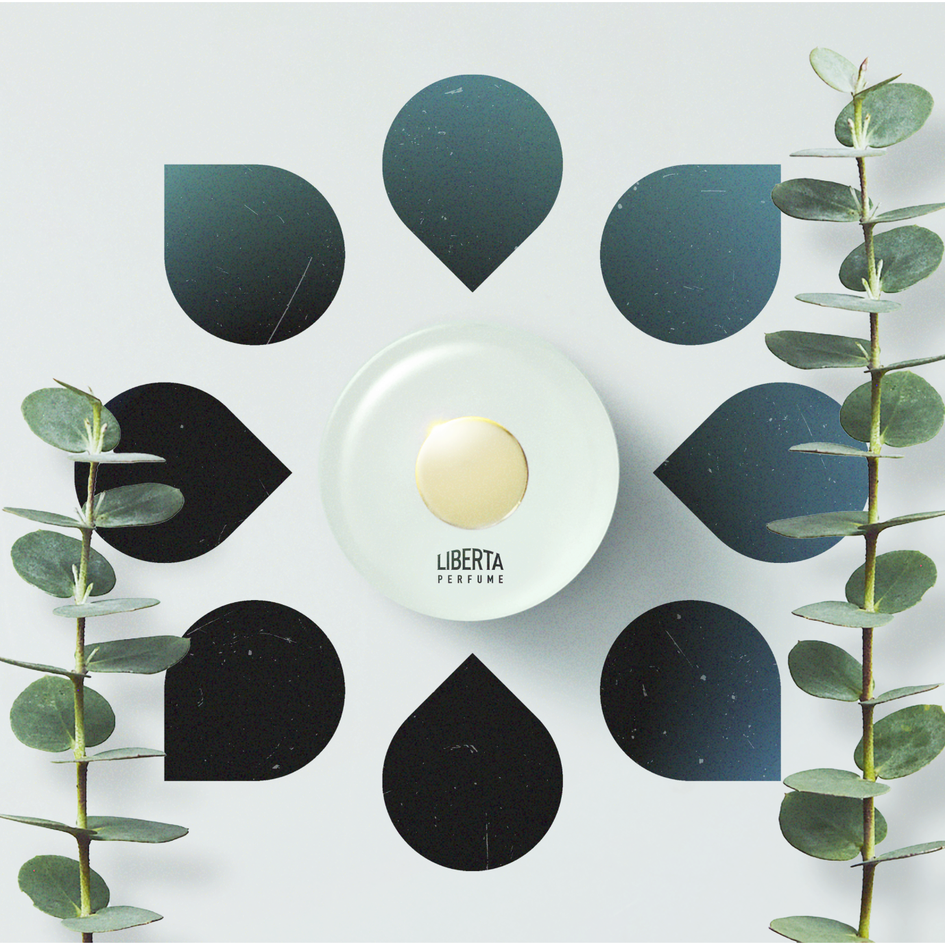 【数量限定】Liberation（リバレイション）ムエットセット