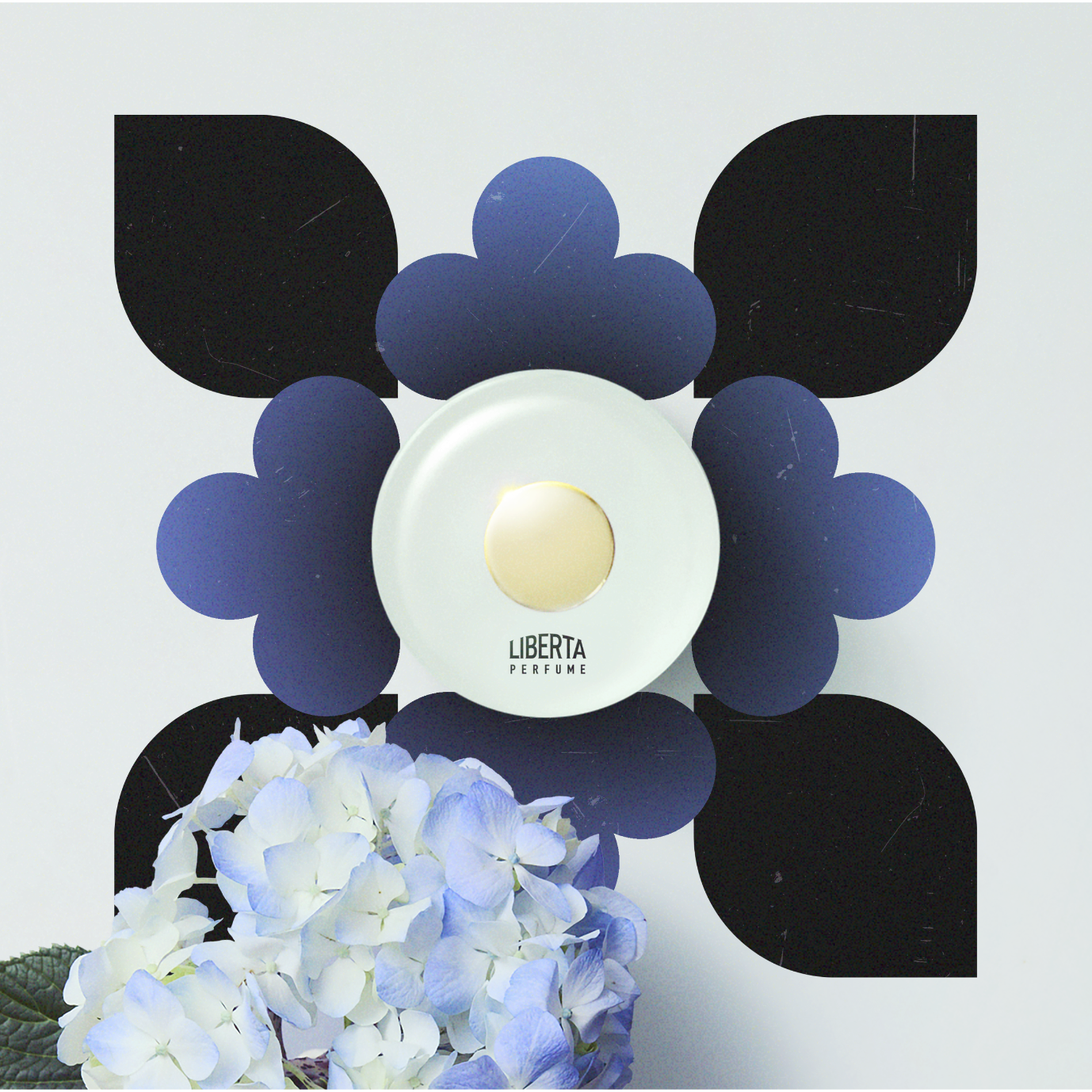 【数量限定】Liberation（リバレイション）ムエットセット