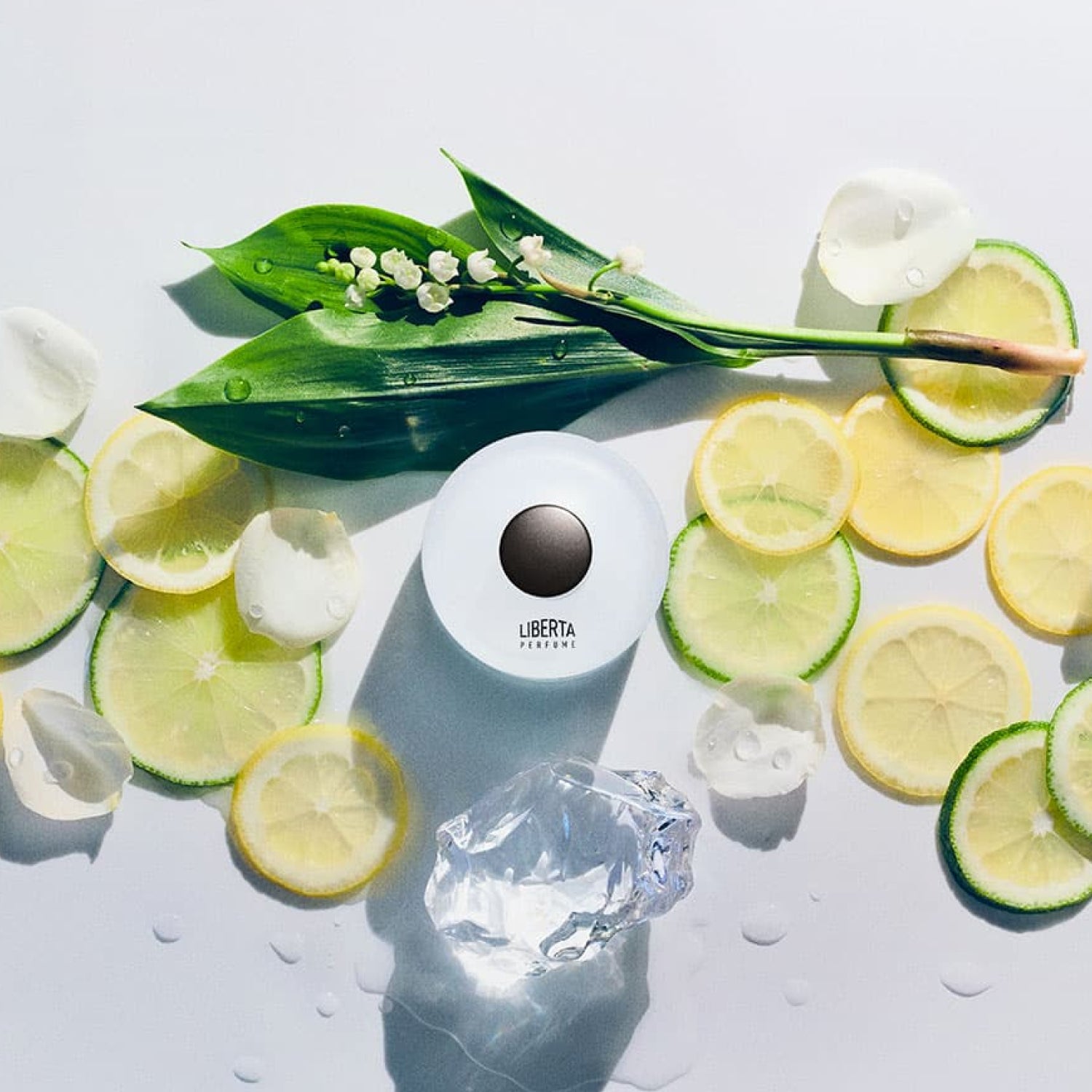 Aqua Perfumer's Special 50+15ml