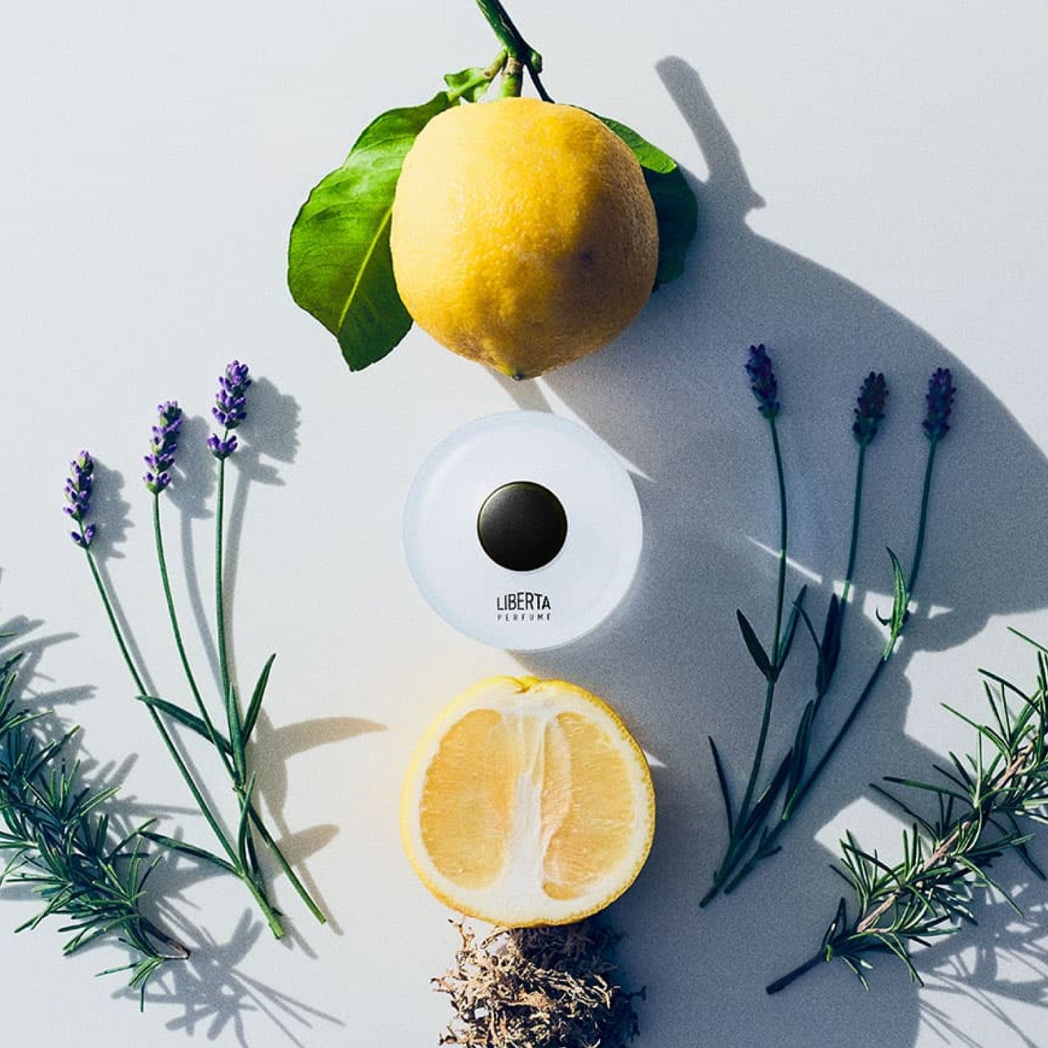 Aromatic Perfumer's Special 50+15ml