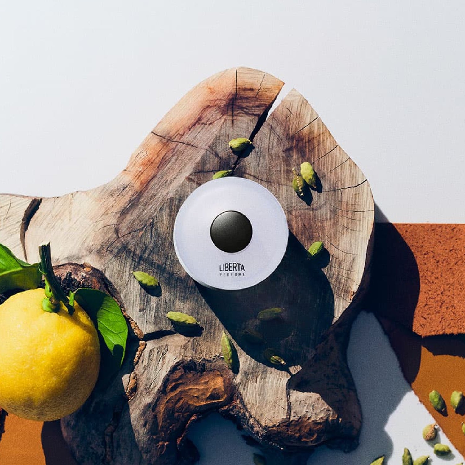 Dry Woody Perfumer's Special 50+15ml