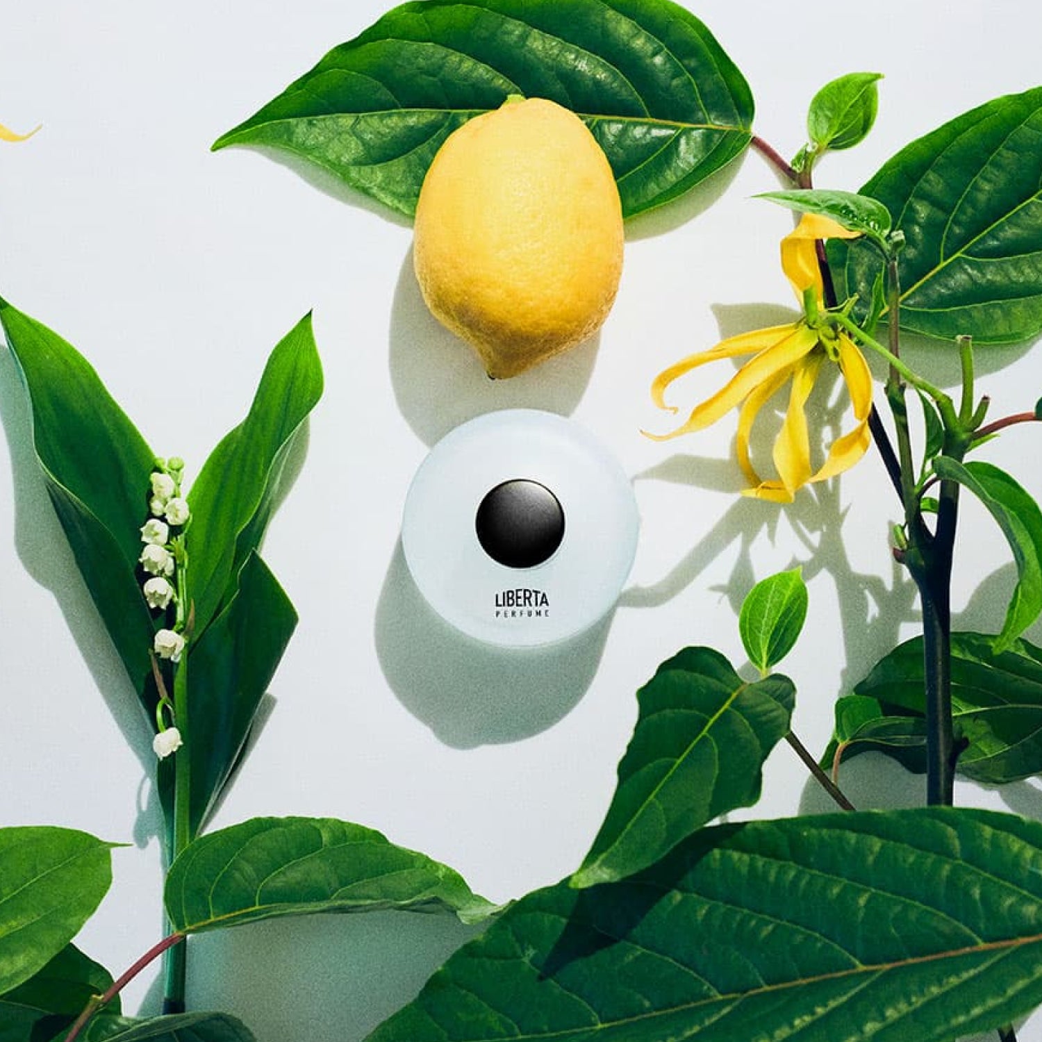 Fresh Floral Perfumer's Special 50+15ml