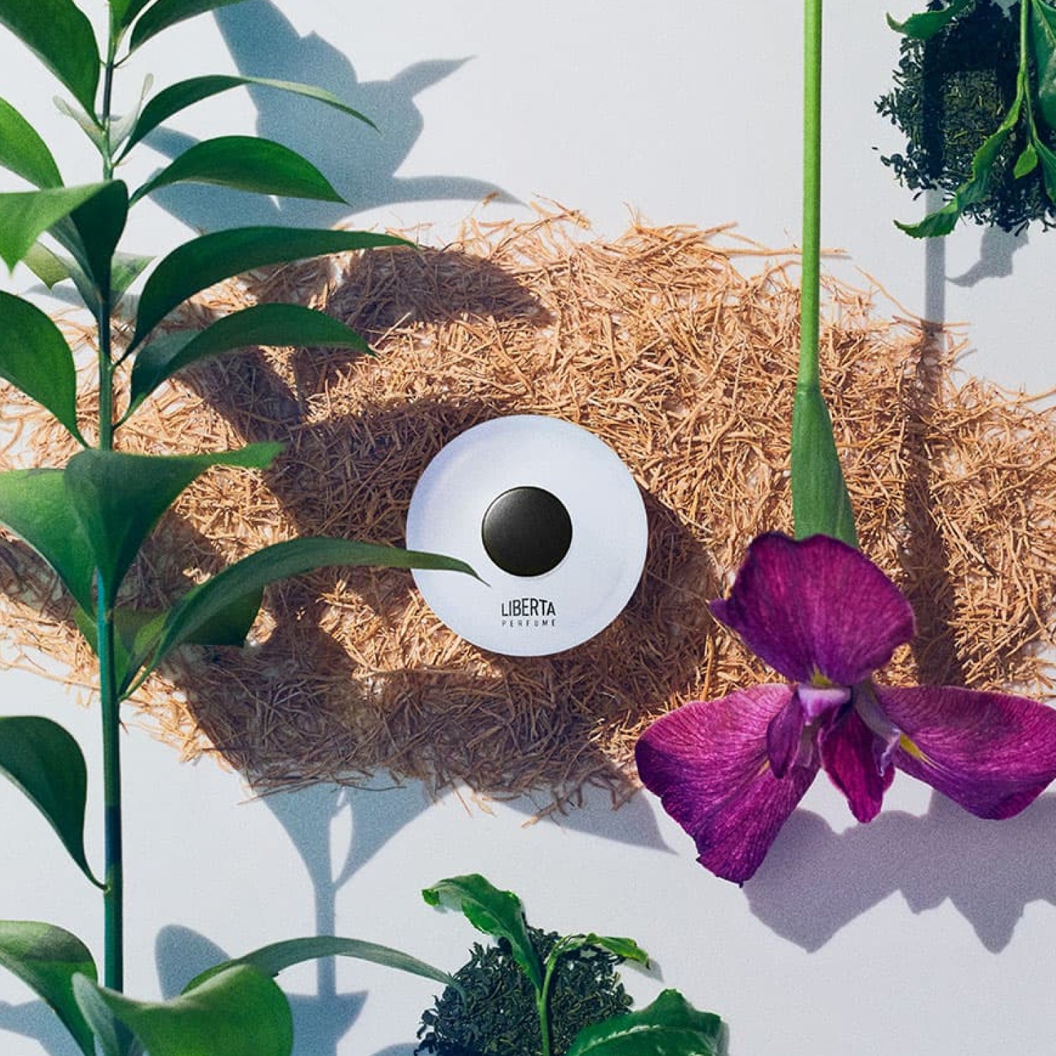 Green Perfumer's Special 50+15ml