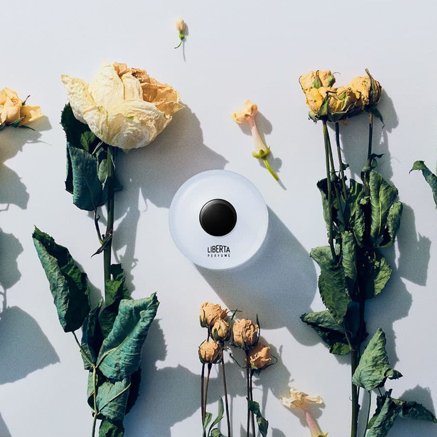 Soft Floral Perfumer's Special 50+15ml