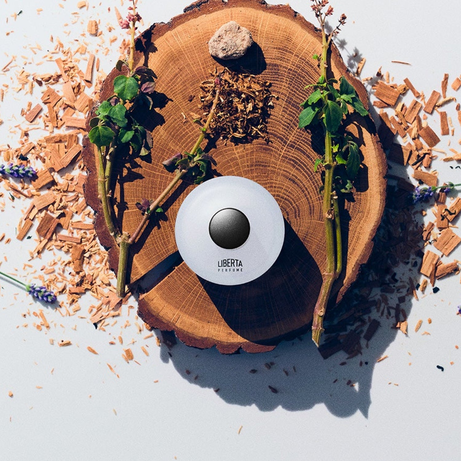 Woody Perfumer's Special 50+15ml