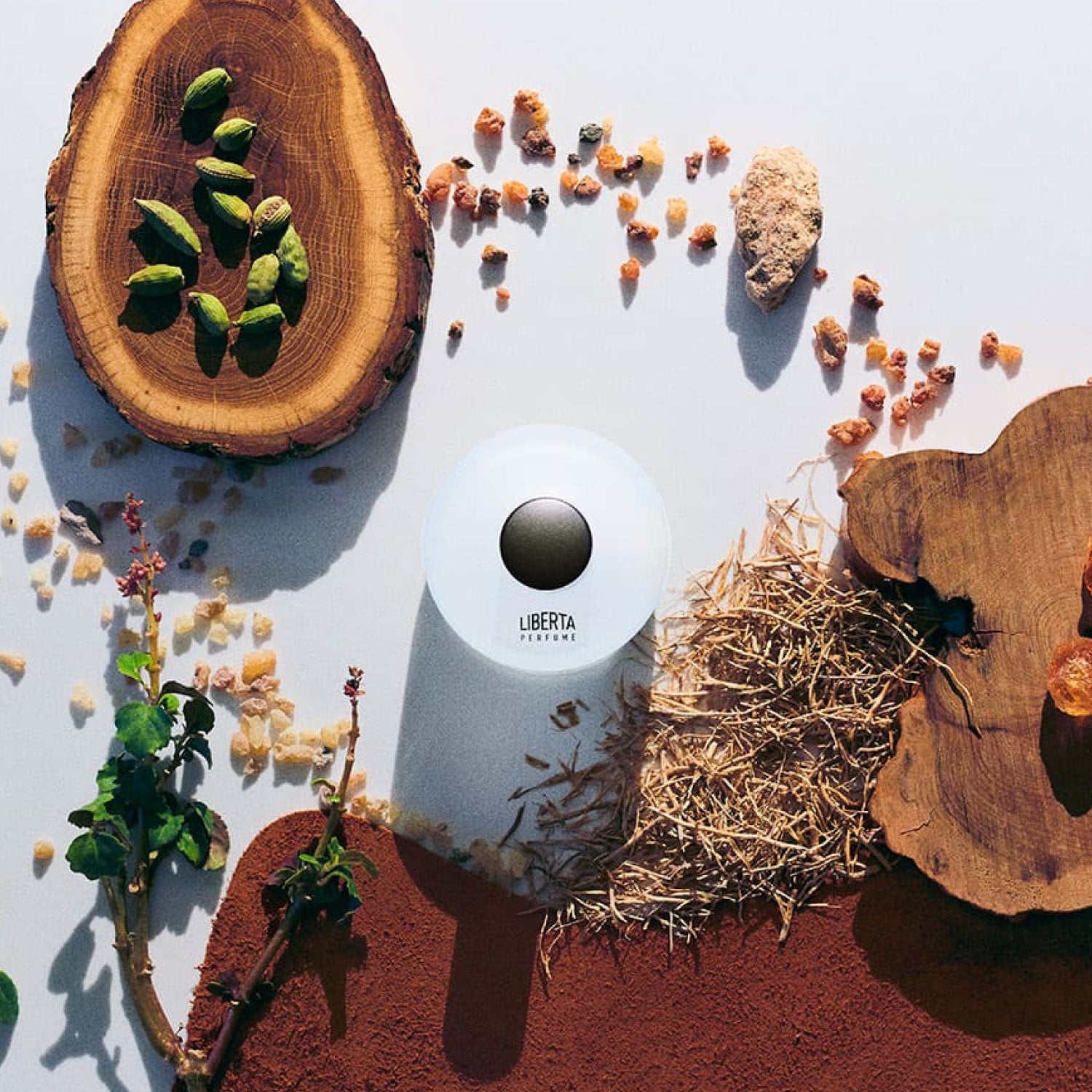 Woody Oriental Perfumer's Special 50+15ml